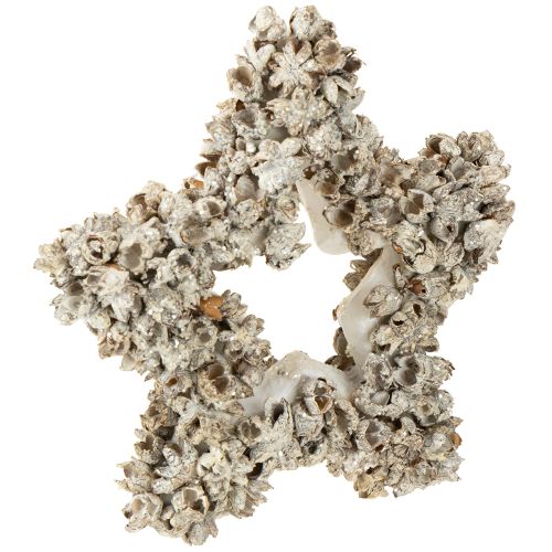 Floristik24 Estrella para colgar decoración navideña blanca, purpurina Ø15cm