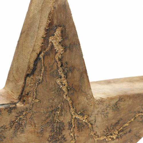 Floristik24 Poinsettia mango natural de pie, dorado 20 × 20 × 3,5cm