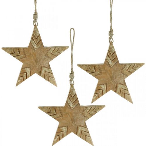 Floristik24 Estrella madera mango naturaleza, estrella madera dorada Navidad 19,5cm 3 piezas