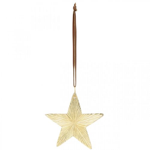 Floristik24 Estrellas para colgar, adornos de metal, adornos para árboles de Navidad dorados 9,5 × 9,5cm 3ud