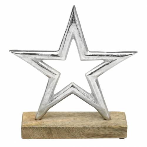 Floristik24 Estrella para montar Mango, metal plateado 21 × 16,5cm