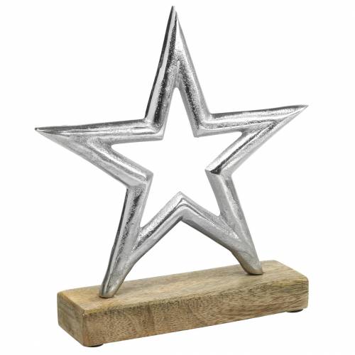 Floristik24 Estrella para montar Mango, metal plateado 21 × 16,5cm
