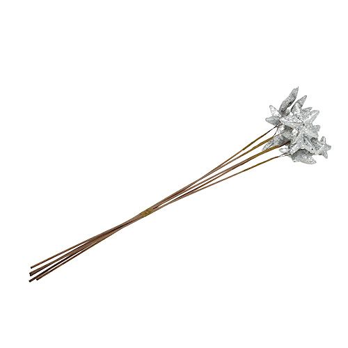 Floristik24 Estrellas en la barra de plata 60cm 5pcs.