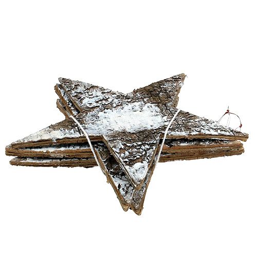 Floristik24 Estrellas hechas de corteza de abedul blanco 29cm 3pcs