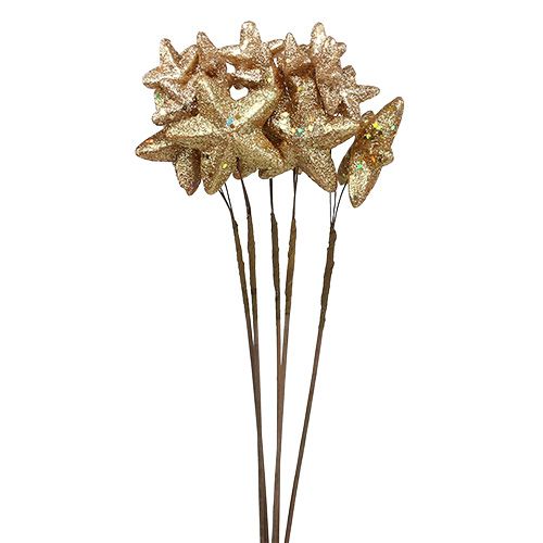 Floristik24 Estrellas agrupadas con glitter gold 60cm 5pcs