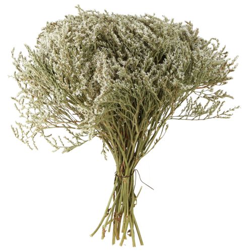 Artículo Lavanda marina Statice Tatarica flores secas naturales 2 kg