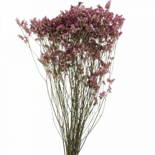 Statice, lavanda marina, flor seca, ramo de flores silvestres rosa L52cm 23g