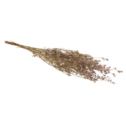 Artículo Lila Playa Limonium Flores Secas Púrpura 70cm 50g