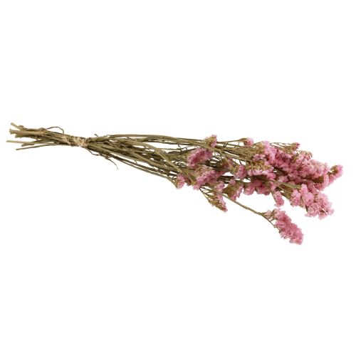 Floristik24 Limonium Playa Flores Secas Lila Rosa 60cm 50g