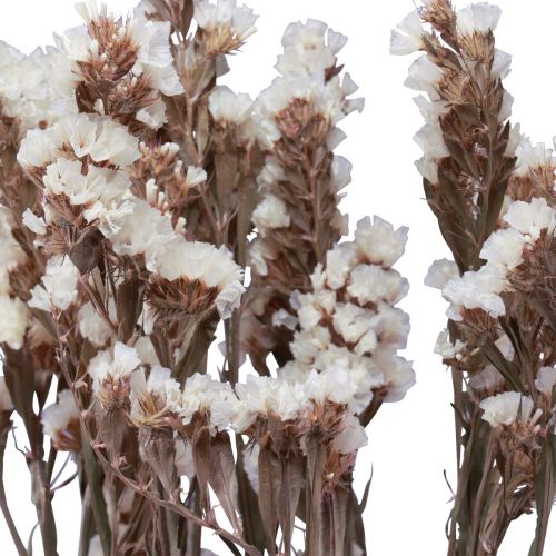 Artículo Flores Secas Limonium Blanco Lila Playa 60cm 35g