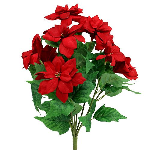 Artículo Ramo Poinsettia Rojo L47cm