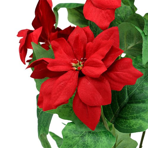 Artículo Ramo Poinsettia Rojo L47cm