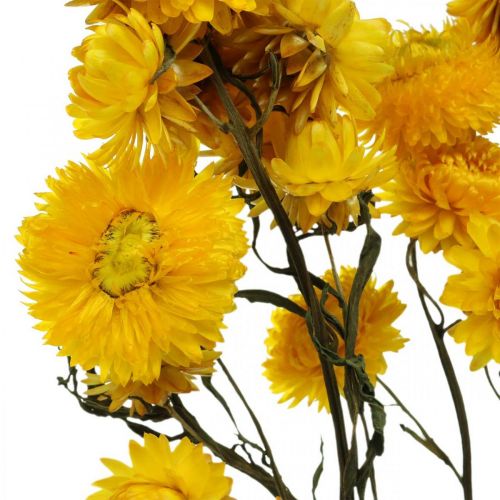 Artículo Flor seca Flor de paja amarilla Helichrysum Decoración seca Manojo 50cm 45g