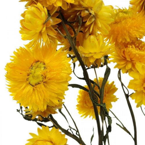 Floristik24 Flor seca Flor de paja amarilla Helichrysum Decoración seca Manojo 50cm 45g