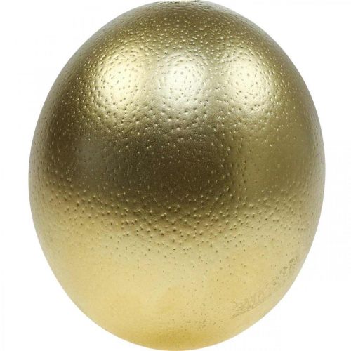 Decoración de huevos de avestruz soplada Decoración de Pascua oro Ø12cm H14cm