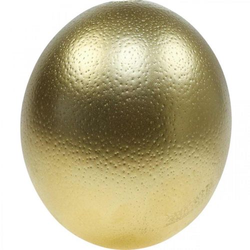 Floristik24 Decoración de huevos de avestruz soplada Decoración de Pascua oro Ø12cm H14cm