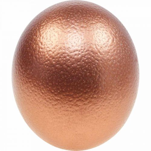 Floristik24 Decoración de huevos de avestruz soplada Decoración de Pascua cobre Ø12cm H14cm