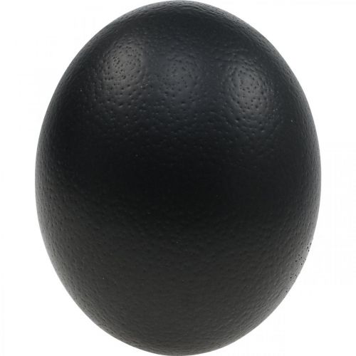 Artículo Decoración de huevos de avestruz soplada Decoración de Pascua negro Ø12cm H14cm