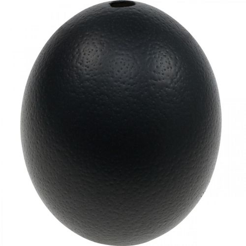Artículo Decoración de huevos de avestruz soplada Decoración de Pascua negro Ø12cm H14cm