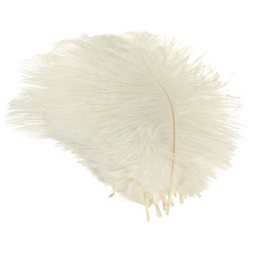Artículo Exquisita pluma decorativa blanca crema pluma de avestruz blanca 20-25cm 12 piezas.