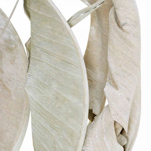 Artículo Strelitzia hojas lavadas blancas secas 45-80cm 10p