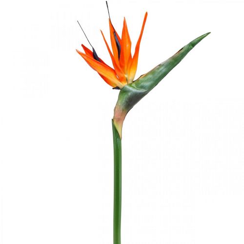 Floristik24 Strelizie reginae flor artificial ave del paraíso naranja L85cm