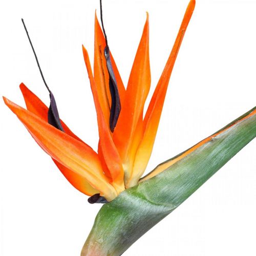 Artículo Strelizie reginae flor artificial ave del paraíso naranja L85cm