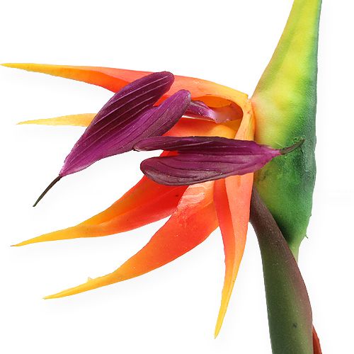 Artículo Strelitzia ave del paraíso flor 62cm