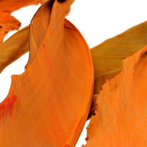 Artículo Strelitzia hojas naranja 120cm 20p