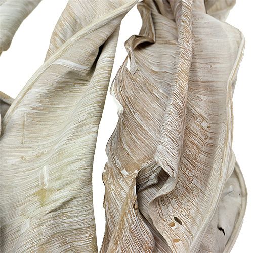Artículo Hojas decorativas Strelitzia hojas lavado blanco 120cm 10pcs