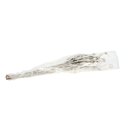 Floristik24 Hojas decorativas Hojas de Strelitzia blanqueadas 120cm 10uds