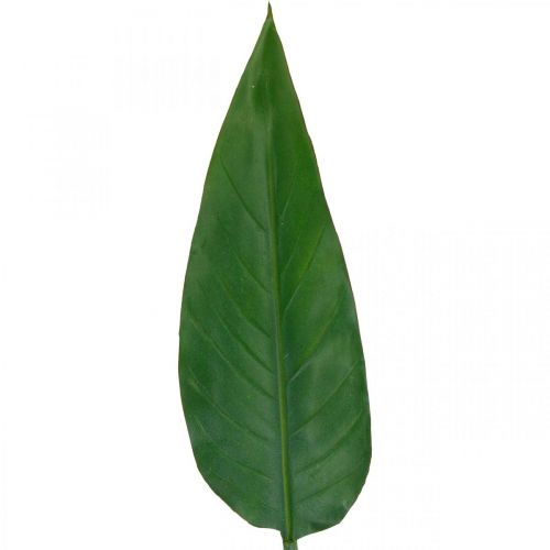 Floristik24 Strelitzia Loro Flor Hoja decorativa Strelitzia Hoja Verde L81cm