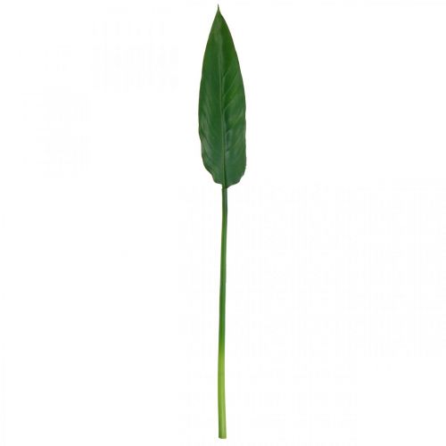 Floristik24 Strelitzia Loro Flor Hoja decorativa Strelitzia Hoja Verde L81cm