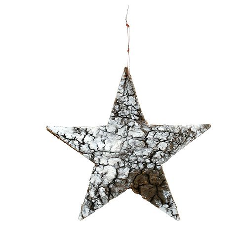 Floristik24 Estrella de corteza de abedul grande blanco 19cm 4pcs