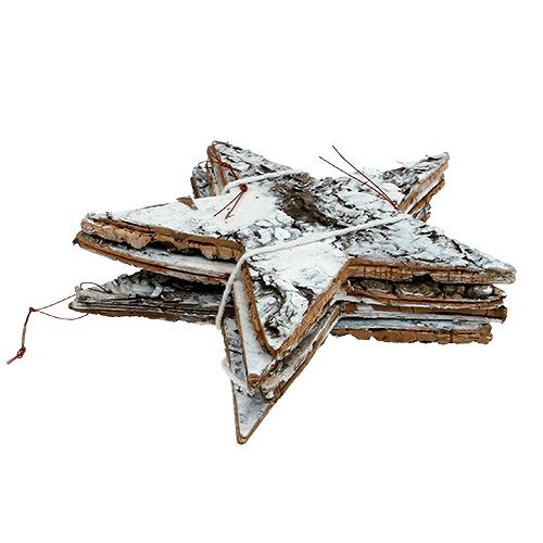 Floristik24 Estrella de corteza de abedul grande blanco 19cm 4pcs