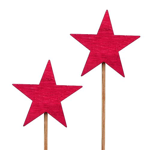 Floristik24 Estrella fucsia como enchufe 7cm 12pcs