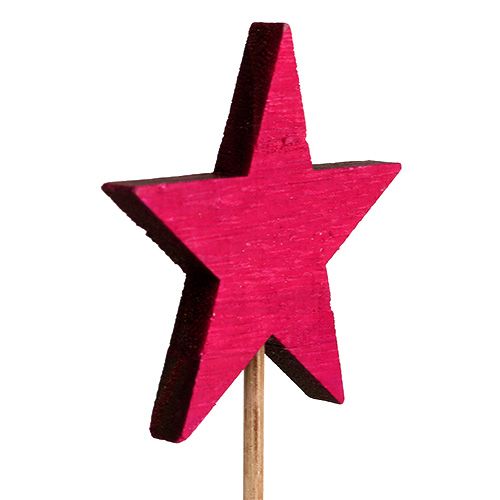 Floristik24 Estrella fucsia como enchufe 7cm 12pcs