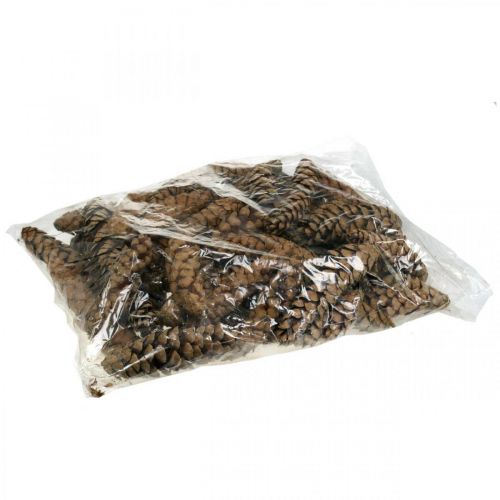 Artículo Piñas Pino blanco Strobus Natural Mixto 2,5kg