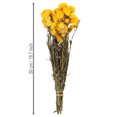 Artículo Ramo de flores secas de siempreviva amarilla (Helichrysum), 100 g