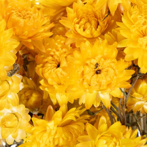 Artículo Ramo de flores secas de siempreviva amarilla (Helichrysum), 100 g
