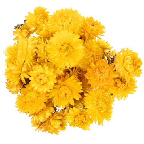 Artículo Ramo de flores secas de siempreviva amarilla (Helichrysum), 100 g