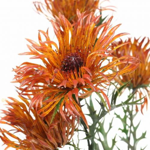 Floristik24 Rama de xantio naranja 69cm 3 piezas