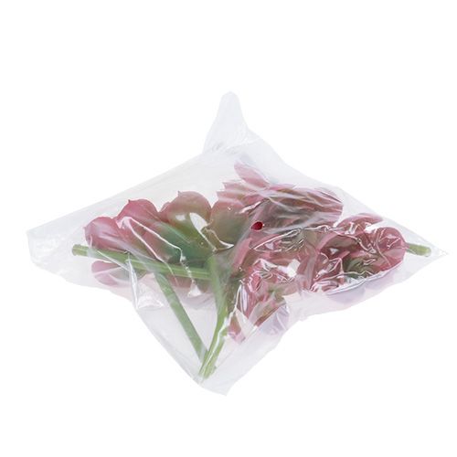Artículo Suculenta Ø5cm Rosa 6 uds