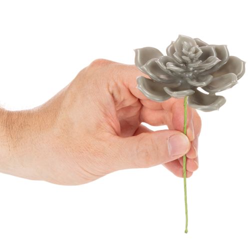 Suculenta artificial de cera, planta artificial con alambre de 8 cm, 8 unidades | Floristik24.es