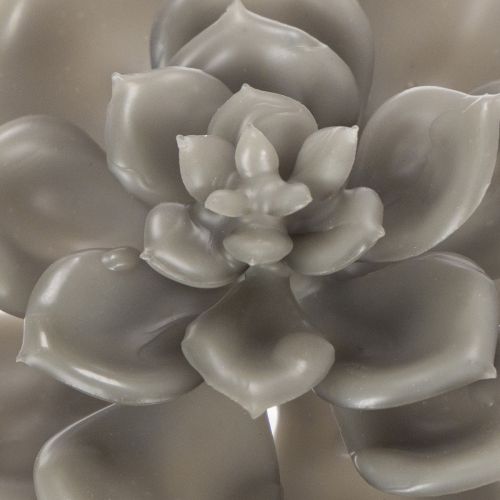 Suculenta artificial de cera, planta artificial con alambre de 8 cm, 8 unidades | Floristik24.es