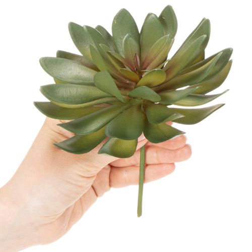 Suculenta artificial como planta decorativa, verde, 18 cm, 3 unidades | Floristik24.es