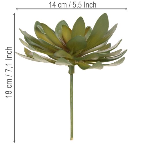 Suculenta artificial como planta decorativa, verde, 18 cm, 3 unidades | Floristik24.es