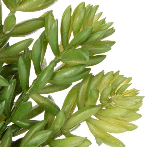 Artículo Flor suculenta artificial para un diseño de bajo mantenimiento de espacios de vivienda y oficina, 15 cm, 5 piezas