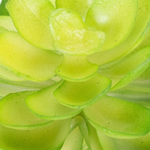 Planta suculenta artificial, verde, para decoración en cuenco o jarrón, 10 cm, 4 unidades. | Floristik24.es