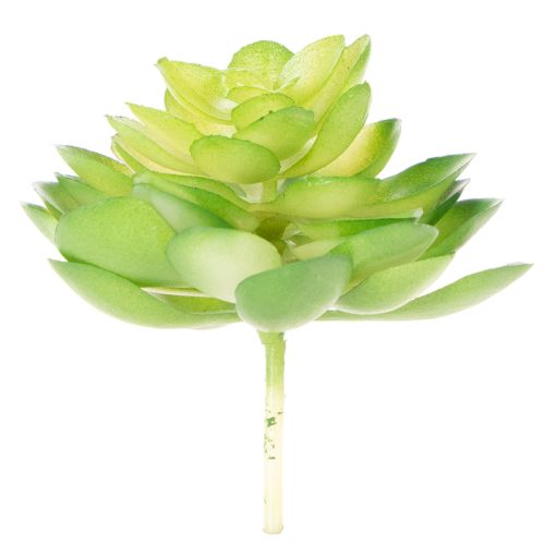 Planta suculenta artificial, verde, para decoración en cuenco o jarrón, 10 cm, 4 unidades. | Floristik24.es